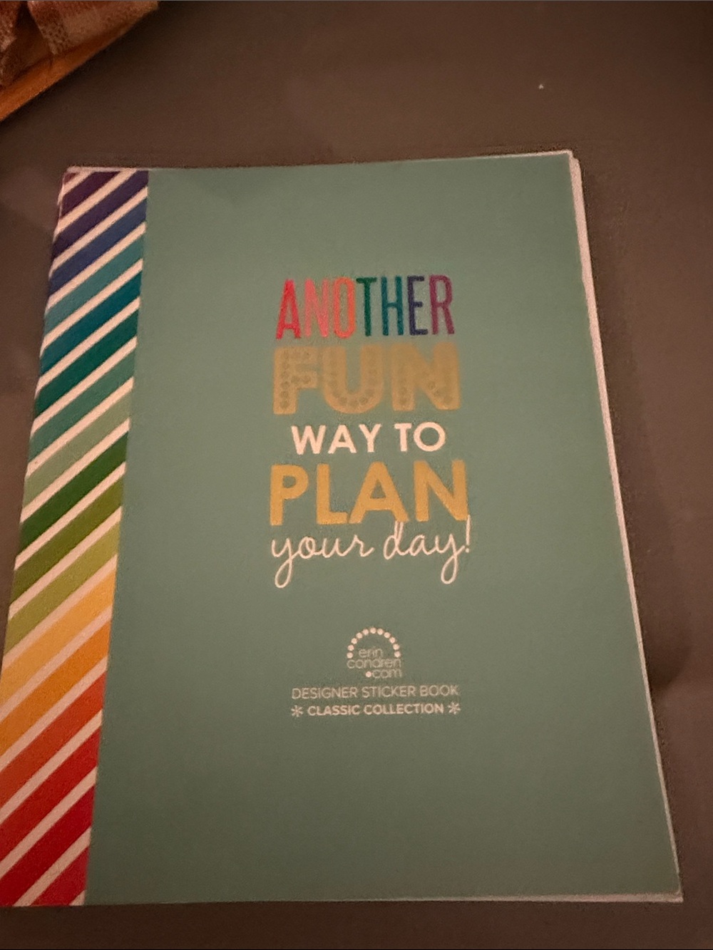 Erin Condren Teal Planner Sticker Book with Rainbow Stripe Accent used